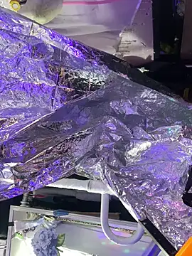 Snapshot of gurlnips chatting on October 8, 6:05 pm gurlnips online show from October 8, 6:05 pm