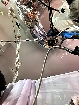 gurlnips online show from November 26, 6:25 am