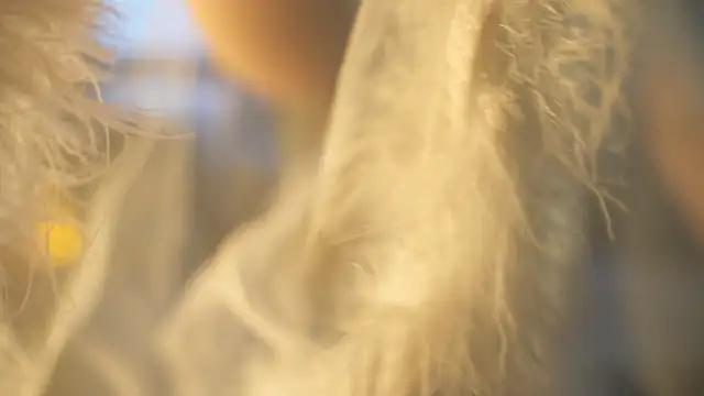 Faster maci online show from January 12, 2:30 pm