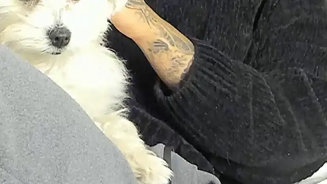 Snapshot of Ama_music chatting on December 17, 8:21 pm Ama music online show from December 17, 8:21 pm