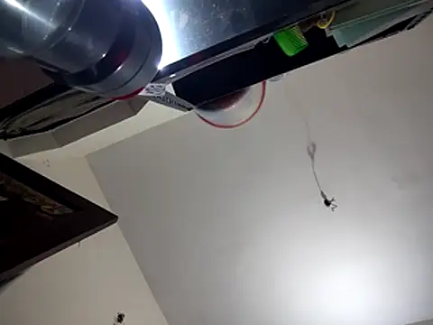 Snapshot of bigvorn6 chatting on March 29, 6:24 am bigvorn6 online show from March 29, 6:24 am