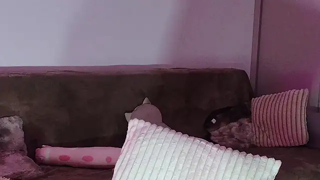 Snapshot of Eva_Millar chatting on February 21, 8:26 am Eva Millar online show from February 21, 8:26 am