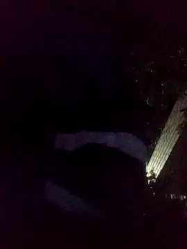 mis312 online show from November 18, 6:40 am