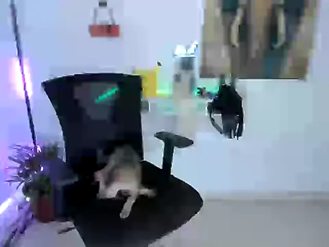 Snapshot of nairobbits chatting on October 9, 1:09 pm nairobbits online show from October 9, 1:09 pm