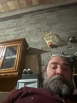 ros217 online show from November 4, 4:28 pm