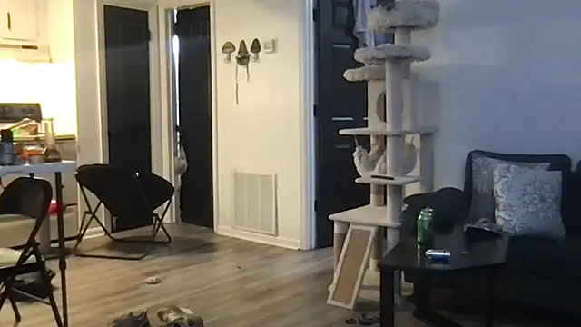 SpunCandy online show from October 1, 4:29 am