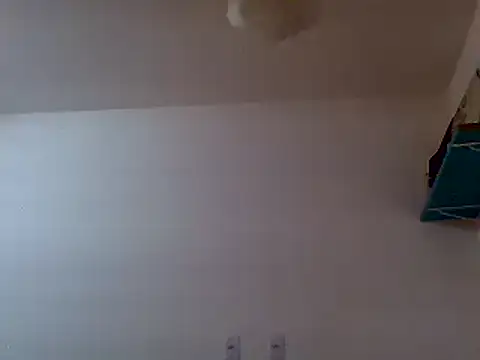 couplemilk online show from February 6, 4:42 am