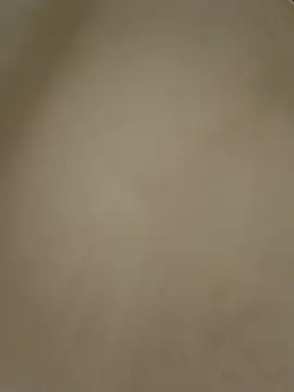 anabella1888 online show from May 8, 8:14 pm