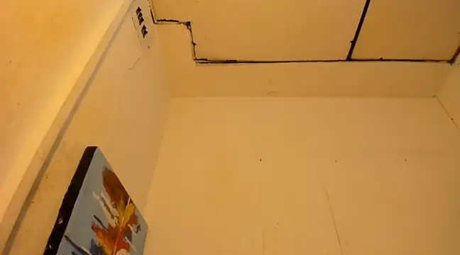 Snapshot of janestones chatting on January 12, 9:19 am janestones online show from January 12, 9:19 am