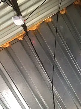 Snapshot of realGsign chatting on February 9, 3:12 pm realGsign online show from February 9, 3:12 pm