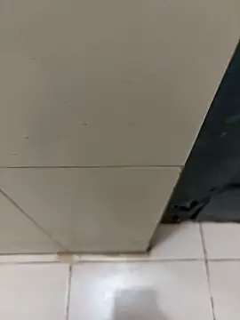 Snapshot of nangakings chatting on December 17, 3:18 pm nangakings online show from December 17, 3:18 pm