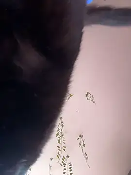 -Sexy Barbie- online show from October 11, 2:33 am