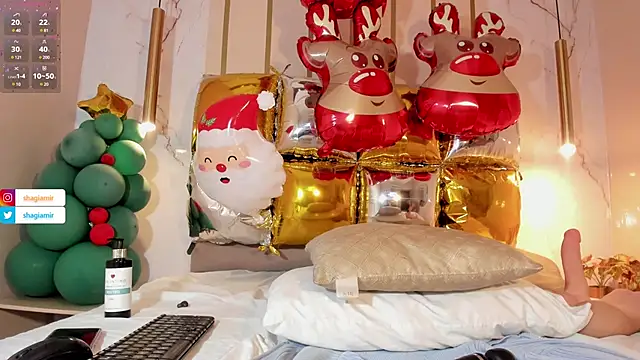 ShagiAmir online show from December 26, 11:03 pm