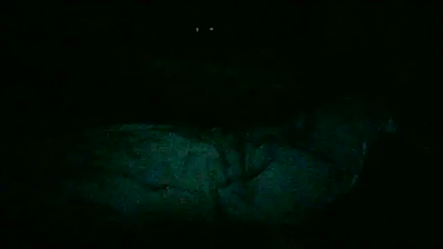 DI4MOND FIR3 online show from November 28, 12:24 am