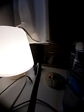 Snapshot of bluangelo chatting on March 8, 1:37 pm bluangelo online show from March 8, 1:37 pm