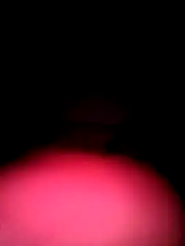 Porco81cazzo online show from December 4, 3:38 am