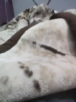 Snapshot of iaparna chatting on December 16, 4:23 pm iaparna online show from December 16, 4:23 pm