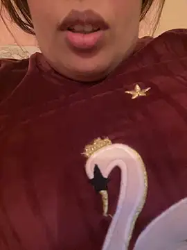 Samarr 9and online show from December 20, 11:10 am