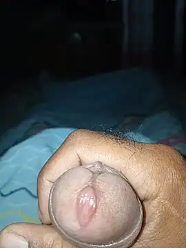 taylorWiiz online show from December 16, 11:15 am