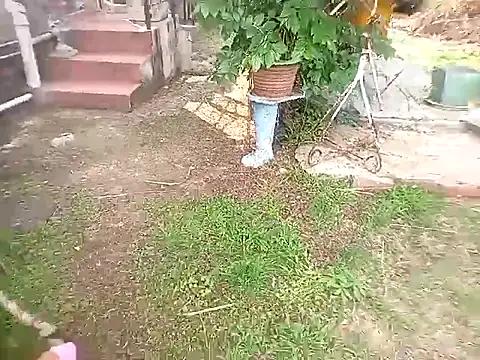 bustybillies online show from October 11, 3:54 pm