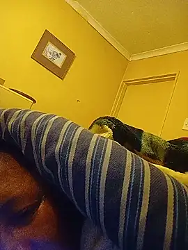 bustybillies online show from June 28, 2:06 am