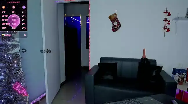 ZhoeStrong online show from December 17, 3:28 am