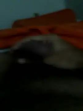 Snapshot of lm279 chatting on January 14, 3:06 pm lm279 online show from January 14, 3:06 pm