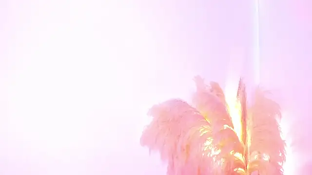 amelie murphy  online show from February 2, 5:04 pm