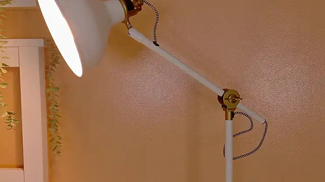 ParisFox  online show from March 8, 2:04 am