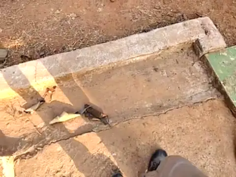 Snapshot of Ishan003 chatting on February 15, 10:36 am Ishan003 online show from February 15, 10:36 am