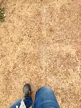 Snapshot of Ishan003 chatting on March 6, 3:03 am Ishan003 online show from March 6, 3:03 am