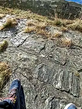 tony7567 online show from November 27, 12:51 pm