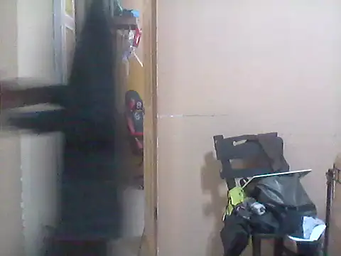 Snapshot of _Dmente_ chatting on October 17, 6:05 am Dmente online show from October 17, 6:05 am