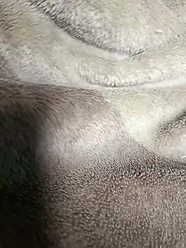 AssamSilchar93 online show from January 20, 5:27 pm