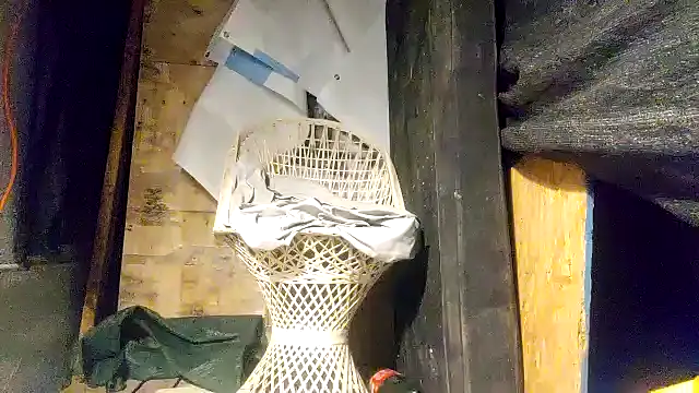 Snapshot of ed44435 chatting on December 21, 5:36 am ed44435 online show from December 21, 5:36 am