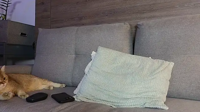 SultryAndrewww online show from January 10, 12:40 pm