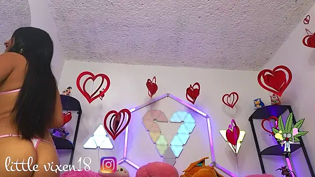 Snapshot of littlevixen18 chatting on February 25, 2:05 pm littlevixen18 online show from February 25, 2:05 pm