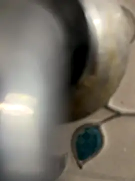 Snapshot of Shakeace1 chatting on December 1, 3:28 pm Shakeace1 online show from December 1, 3:28 pm