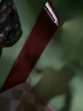 Snapshot of Alphadavid_23 chatting on February 26, 7:16 pm Alphadavid 23 online show from February 26, 7:16 pm