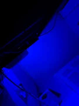 hotNReady6969 online show from October 10, 10:14 am