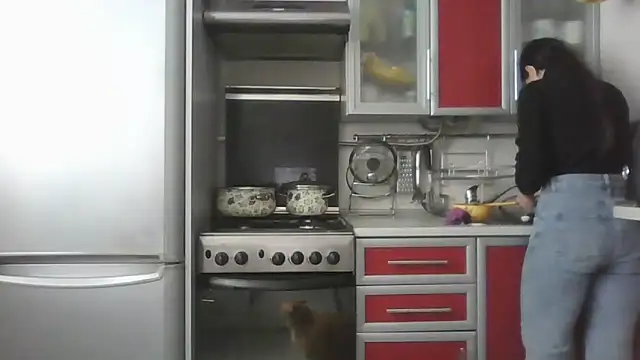 Kashtanka  online show from March 25, 8:53 am