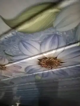 kunalmishra2003 online show from November 20, 11:48 pm