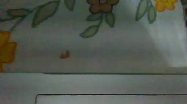 Snapshot of biggest_lund_ chatting on December 28, 12:45 pm biggest lund online show from December 28, 12:45 pm