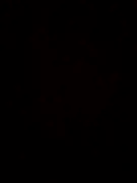 maripah online show from July 22, 12:57 am