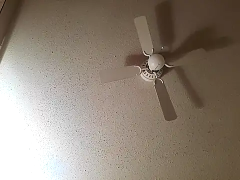 Snapshot of big8dall chatting on October 22, 7:52 am big8dall online show from October 22, 7:52 am