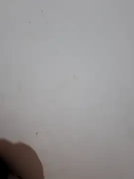 sweet Melody xx online show from September 29, 1:11 am