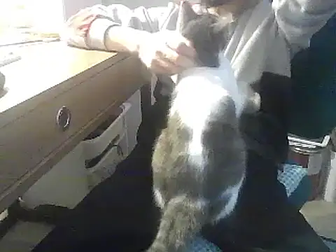 Snapshot of kallaviz chatting on January 7, 7:16 pm kallaviz online show from January 7, 7:16 pm