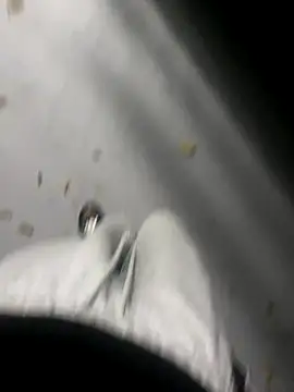 Snapshot of zeekBbc chatting on November 16, 10:43 am zeekBbc online show from November 16, 10:43 am