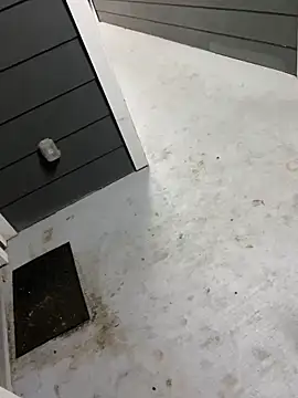 Snapshot of zeekBbc chatting on February 9, 5:00 am zeekBbc online show from February 9, 5:00 am