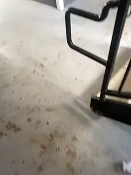 Snapshot of zeekBbc chatting on February 26, 9:25 pm zeekBbc online show from February 26, 9:25 pm